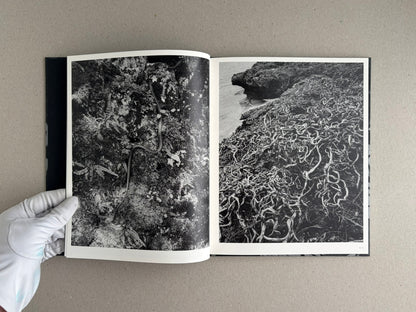 Open spread of Wandering Dog by Mai Nakama showing two black-and-white photographs: a dense close-up of vegetation with a snake-like form on the left, and a rocky shoreline covered in tangled roots or seaweed on the right.
