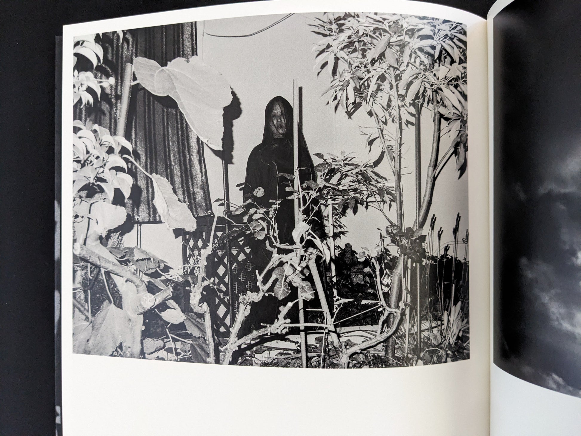 Portrait of a person surrounded by plants from Wandering Dog by Mai Nakama