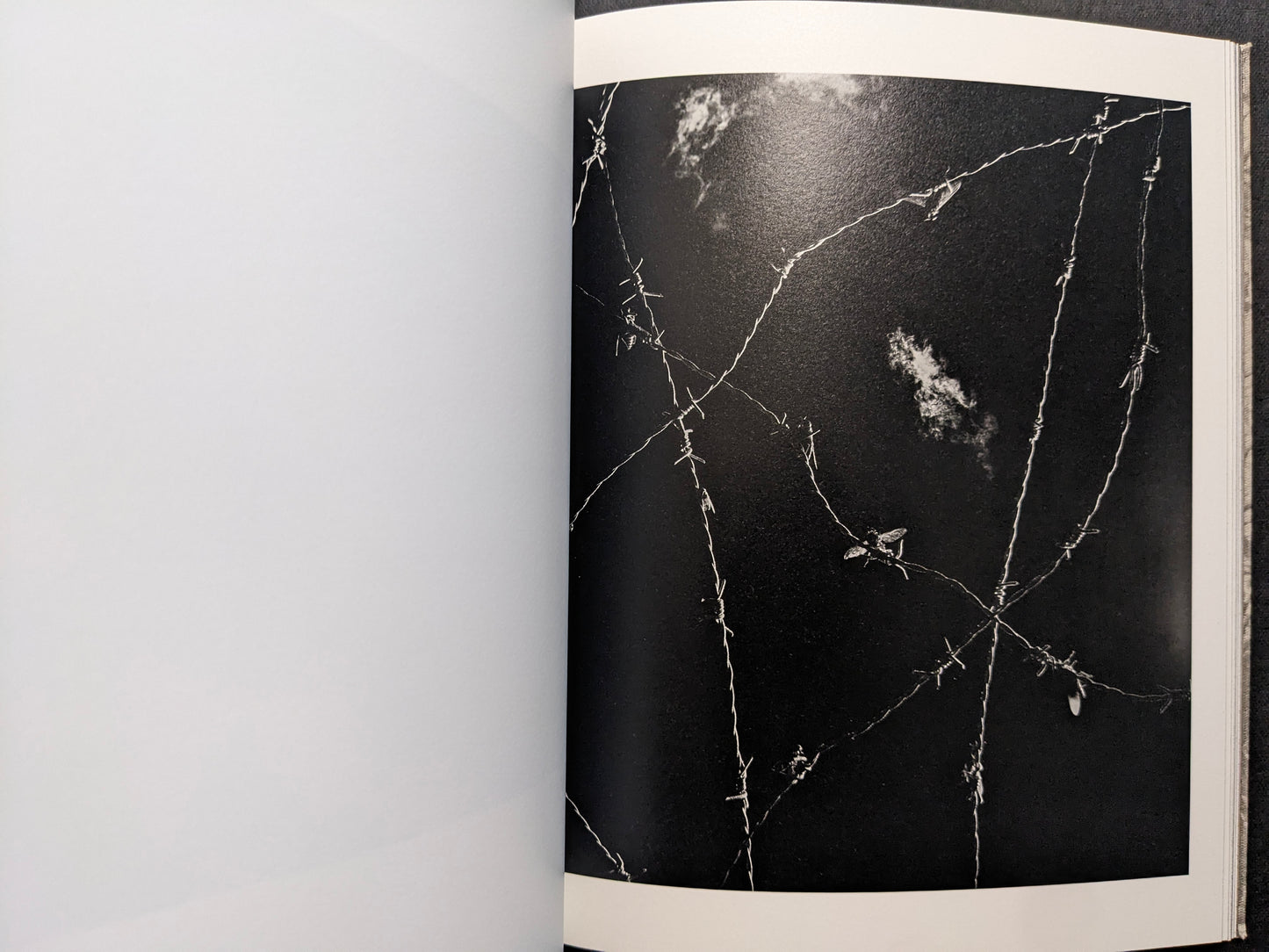 Interior photograph from What the Rain Might Bring — barbed wire lines with a small insect, black and white.