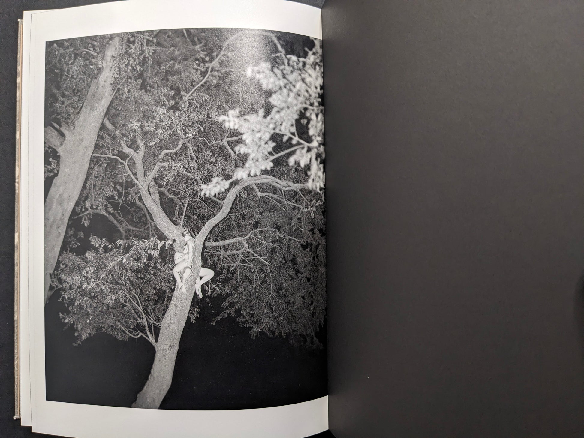 Interior image of a couple perched in a tree at night, illuminated by flash.