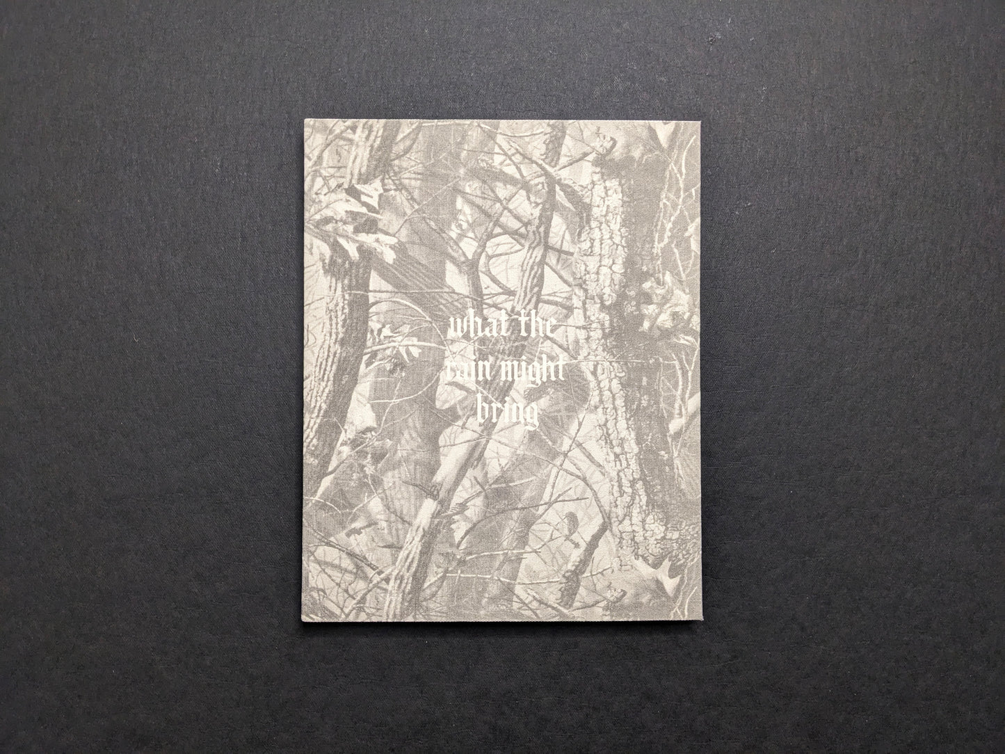 What the Rain Might Bring by Dylan Hausthor (TBW Books) — front cover with monochrome woodland pattern and title.