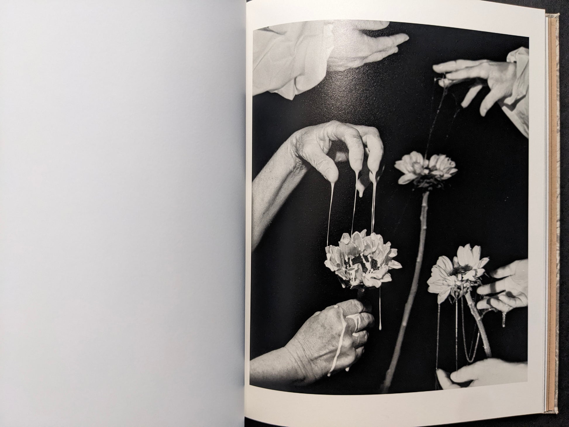Interior image of hands dripping liquid onto flowers in a staged, ritual-like scene.