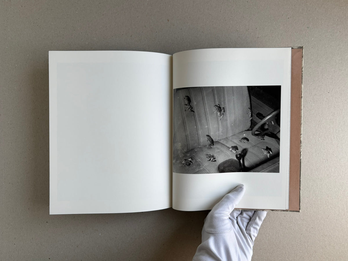 Open copy of What the Rain Might Bring by Dylan Hausthor showing a black-and-white interior photograph on the right-hand page and a blank left page, with a gloved hand holding the book open.