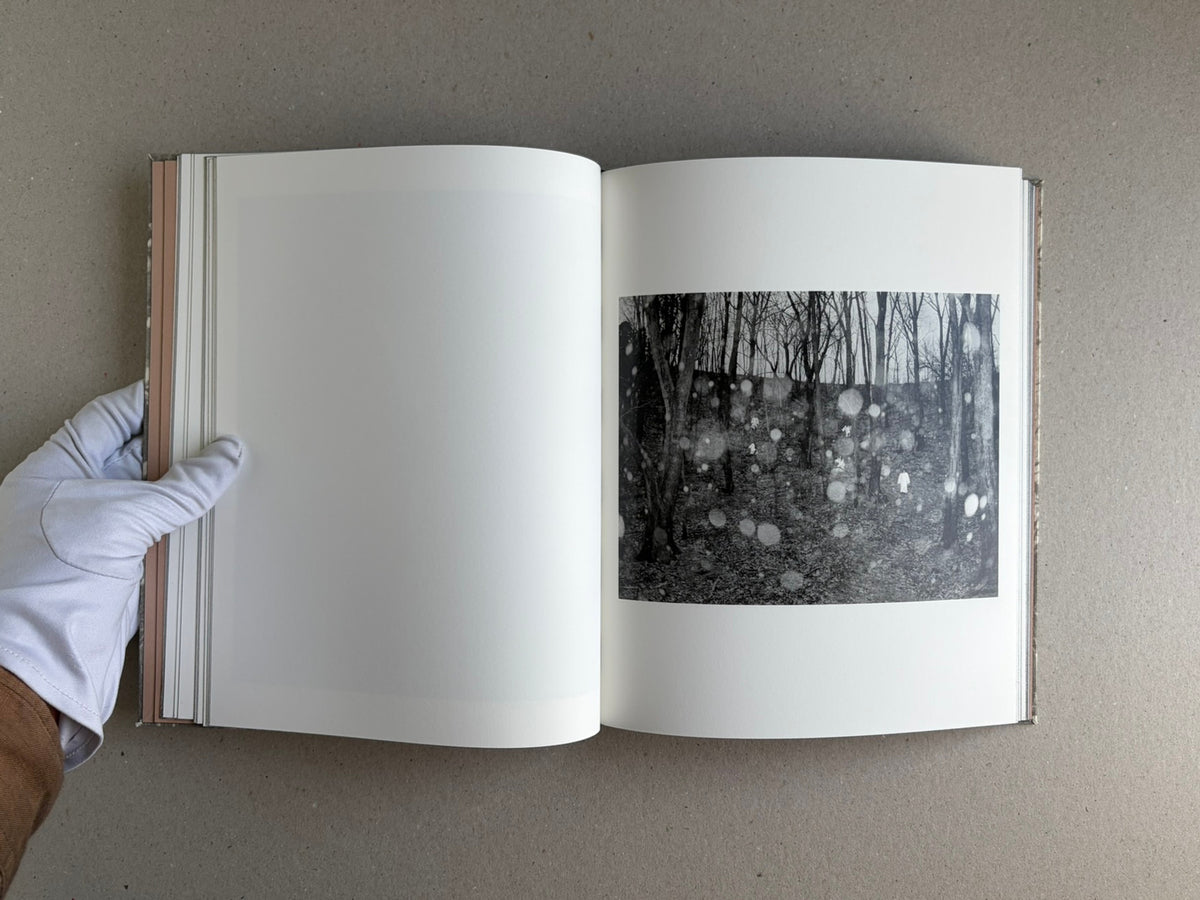 Open photobook What the Rain Might Bring by Dylan Hausthor, showing a blank left page and a black-and-white forest photograph on the right page.