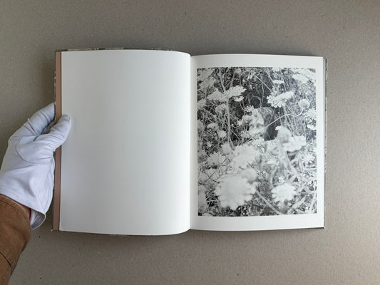Open photobook spread from What the Rain Might Bring by Dylan Hausthor, showing a blank left page and a black-and-white photograph on the right page.
