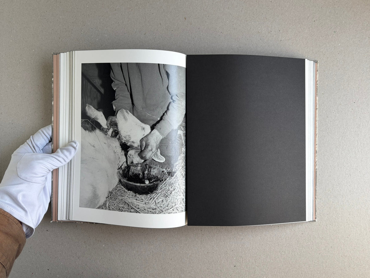 Open copy of What the Rain Might Bring by Dylan Hausthor, showing a black-and-white photo spread on the left and a blank black page on the right.