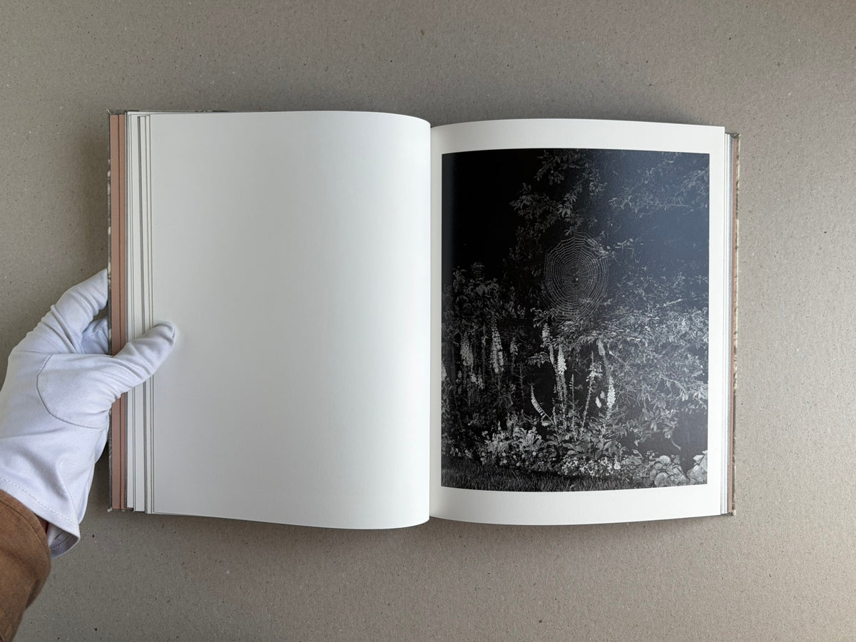 Open copy of What the Rain Might Bring by Dylan Hausthor, showing a blank left page and a black-and-white nature photograph on the right page.