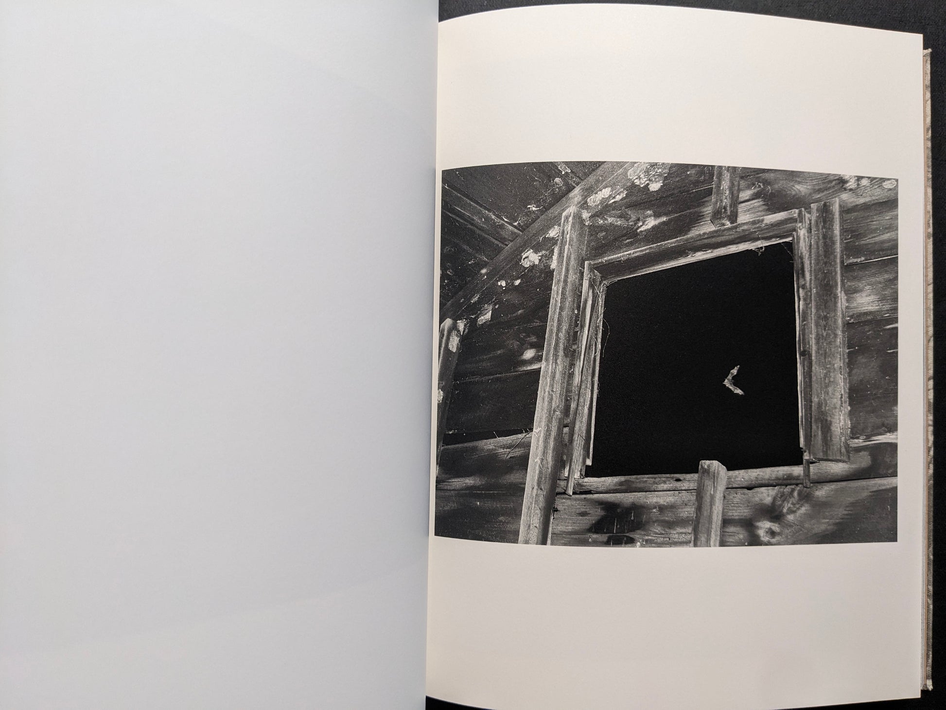 Interior photograph from What the Rain Might Bring — weathered wooden wall with an open window and a small bird in flight, black and white.