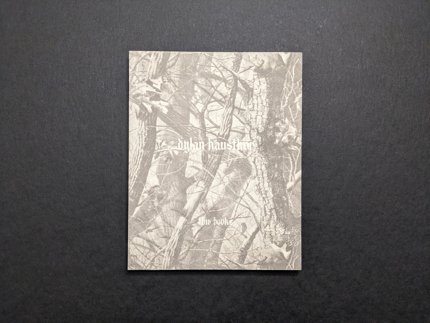 What the Rain Might Bring by Dylan Hausthor — back cover with woodland texture, author name, and the TBW Books imprint.