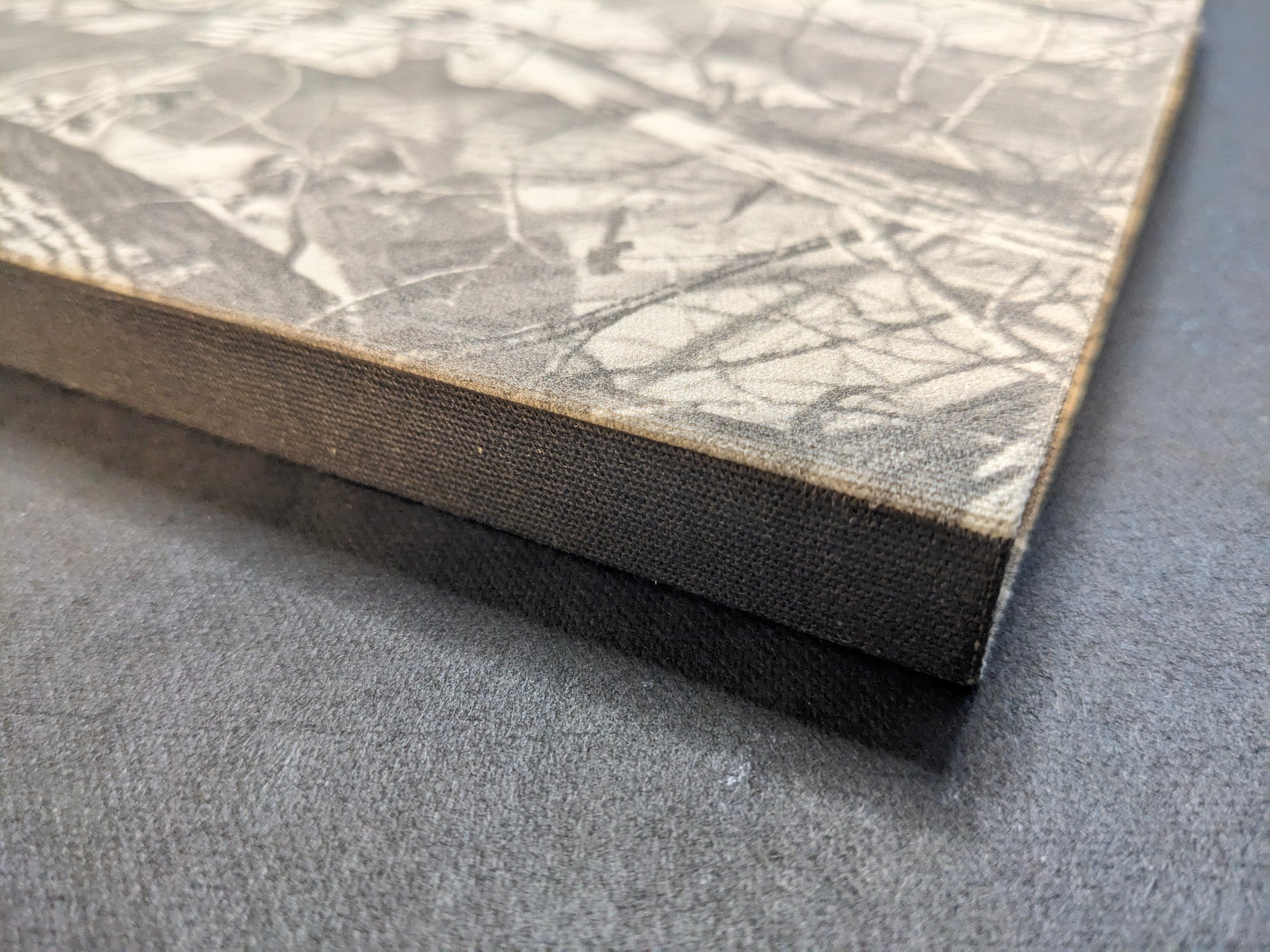 What the Rain Might Bring by Dylan Hausthor — close-up of the cloth spine and black edge printing on the hardcover.