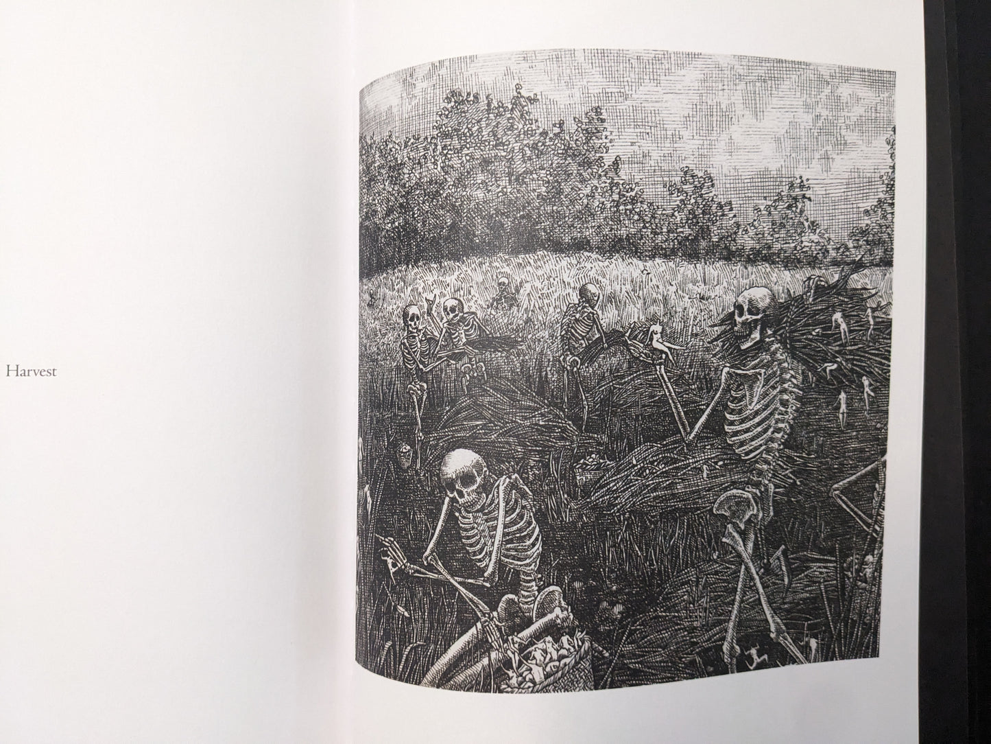 “Harvest” spread from Where Shadows Breathe: The Art of Melf, black-and-white illustration of skeletons working in a field under a textured sky.