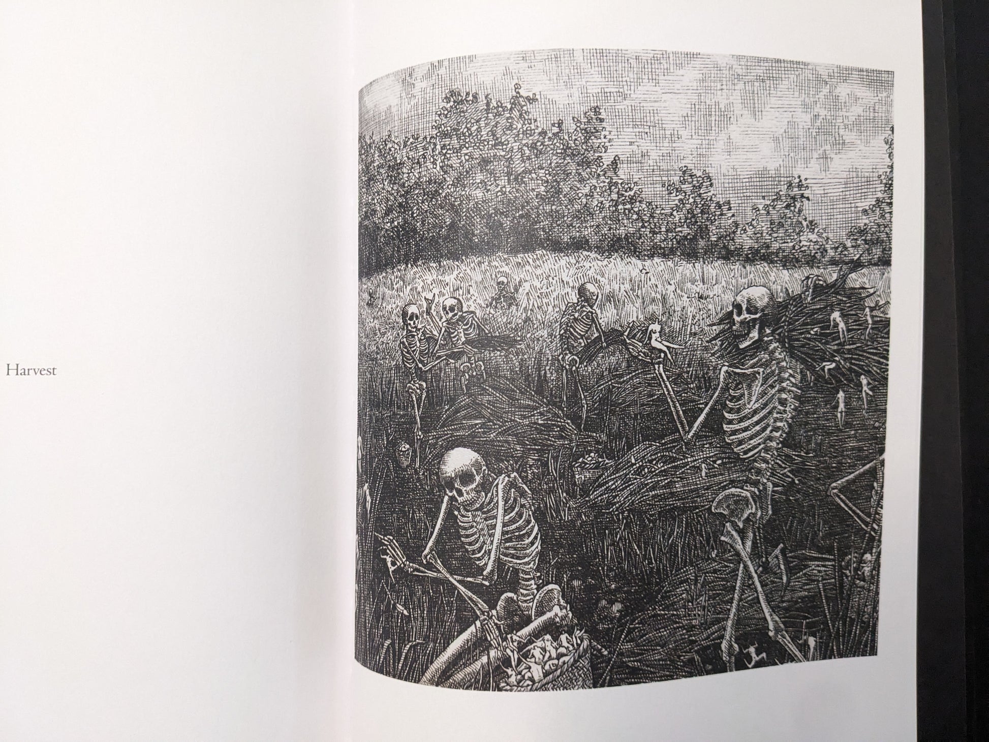 “Harvest” spread from Where Shadows Breathe: The Art of Melf, black-and-white illustration of skeletons working in a field under a textured sky.