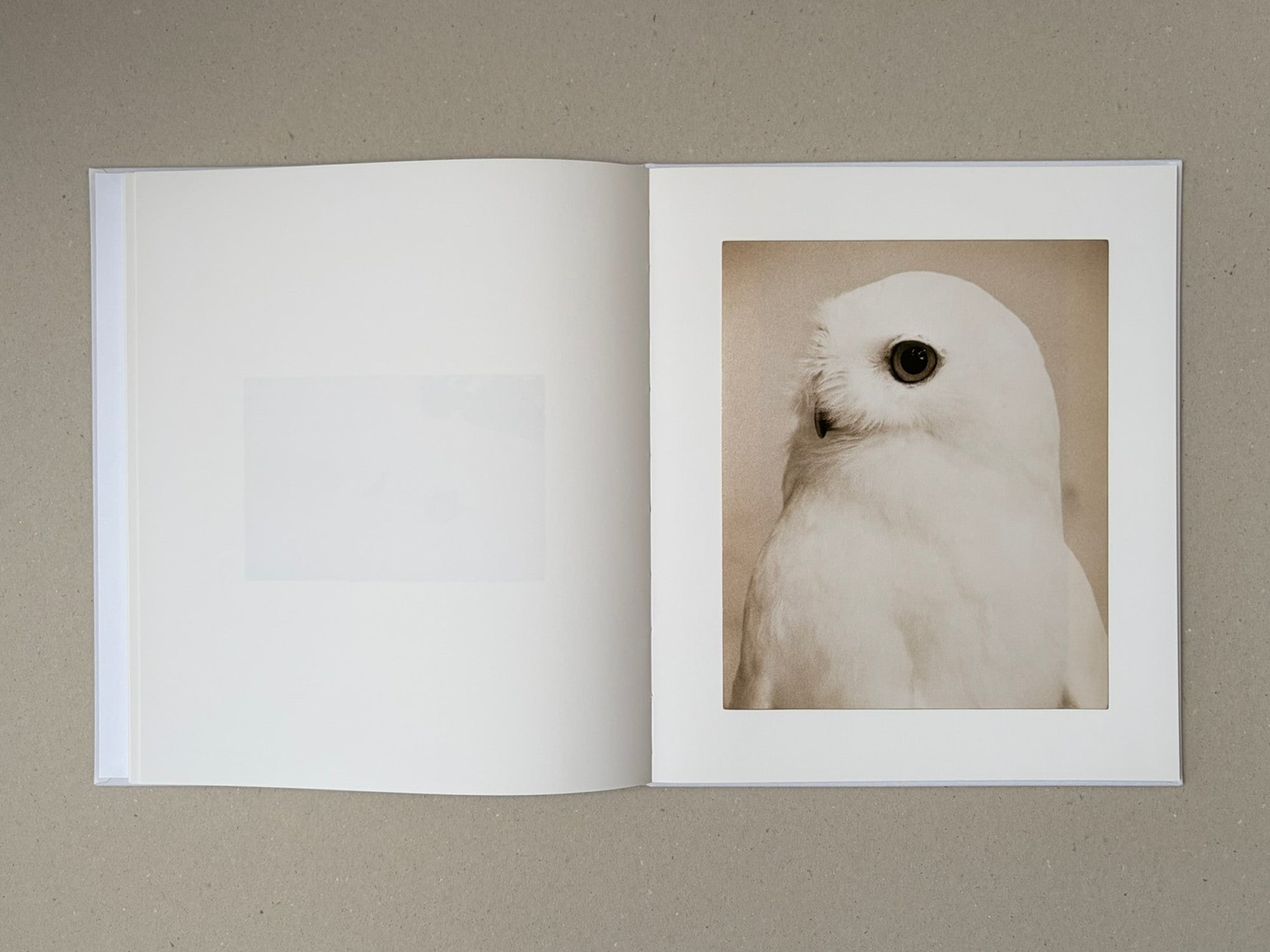 Yamamoto Masao — Photobook by Masao Yamamoto, kiku label – Lokator100