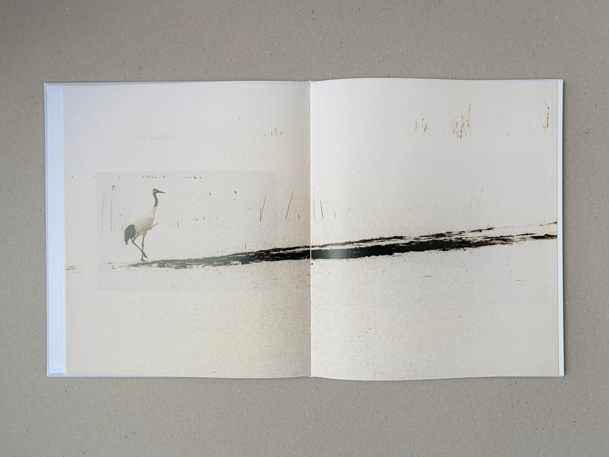 Yamamoto Masao photobook open to a two-page spread with a small bird figure and a horizontal black brushstroke across the page.