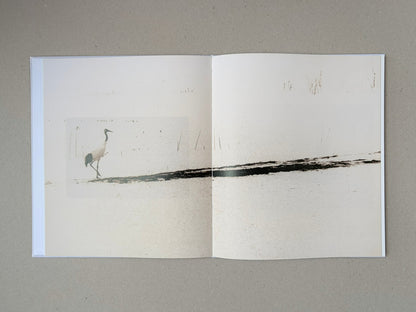 Yamamoto Masao photobook open to a two-page spread with a small bird figure and a horizontal black brushstroke across the page.