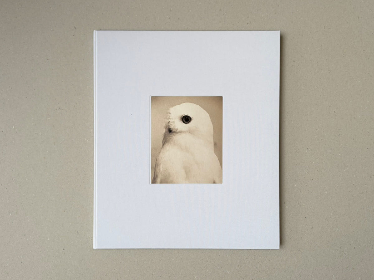 Yamamoto Masao photobook with a white cloth cover and a small tipped-on image of a white bird on the front.