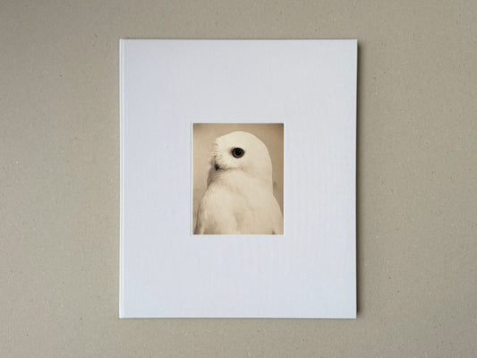 Yamamoto Masao photobook with a white cloth cover and a small tipped-on image of a white bird on the front.