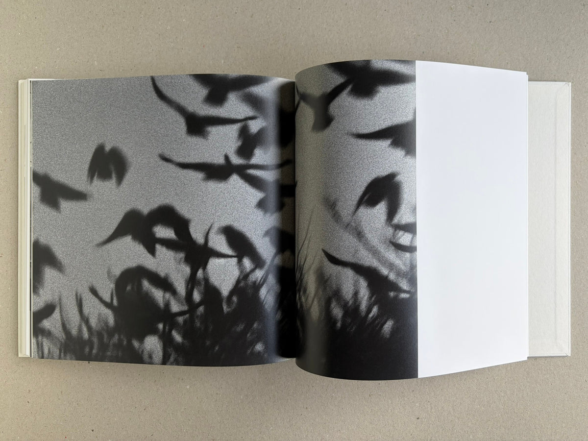 Yoko – Masahisa Fukase, spread with blurred raven silhouettes across both pages.
