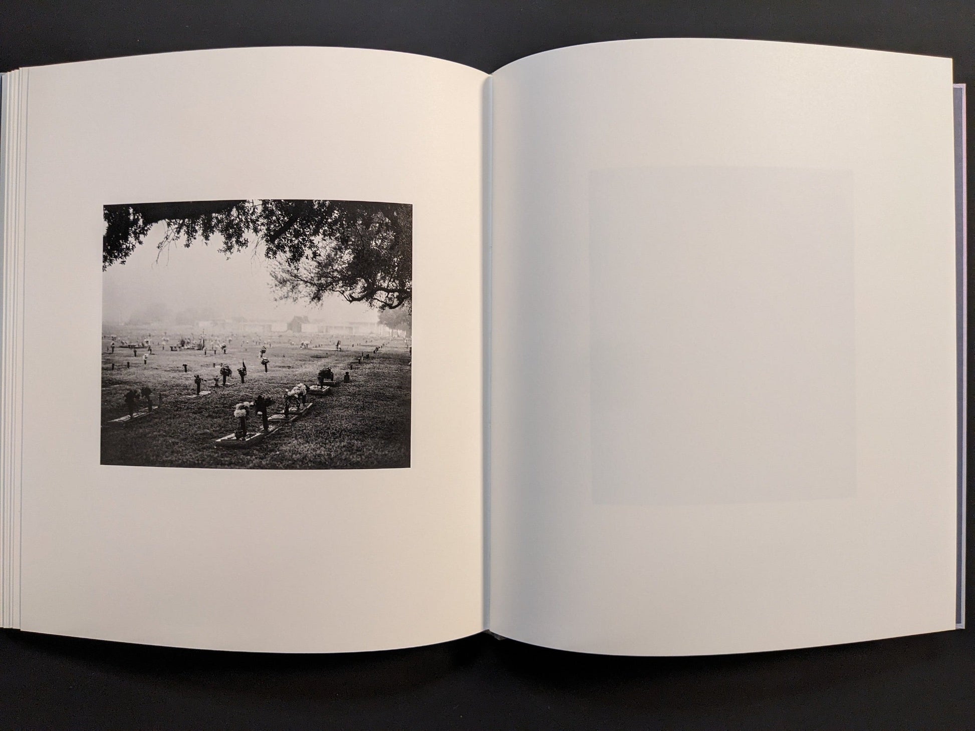 Final pages of i shall sing these songs beautifully by Yorgos Lanthimos, showing a wide outdoor scene in black and white.