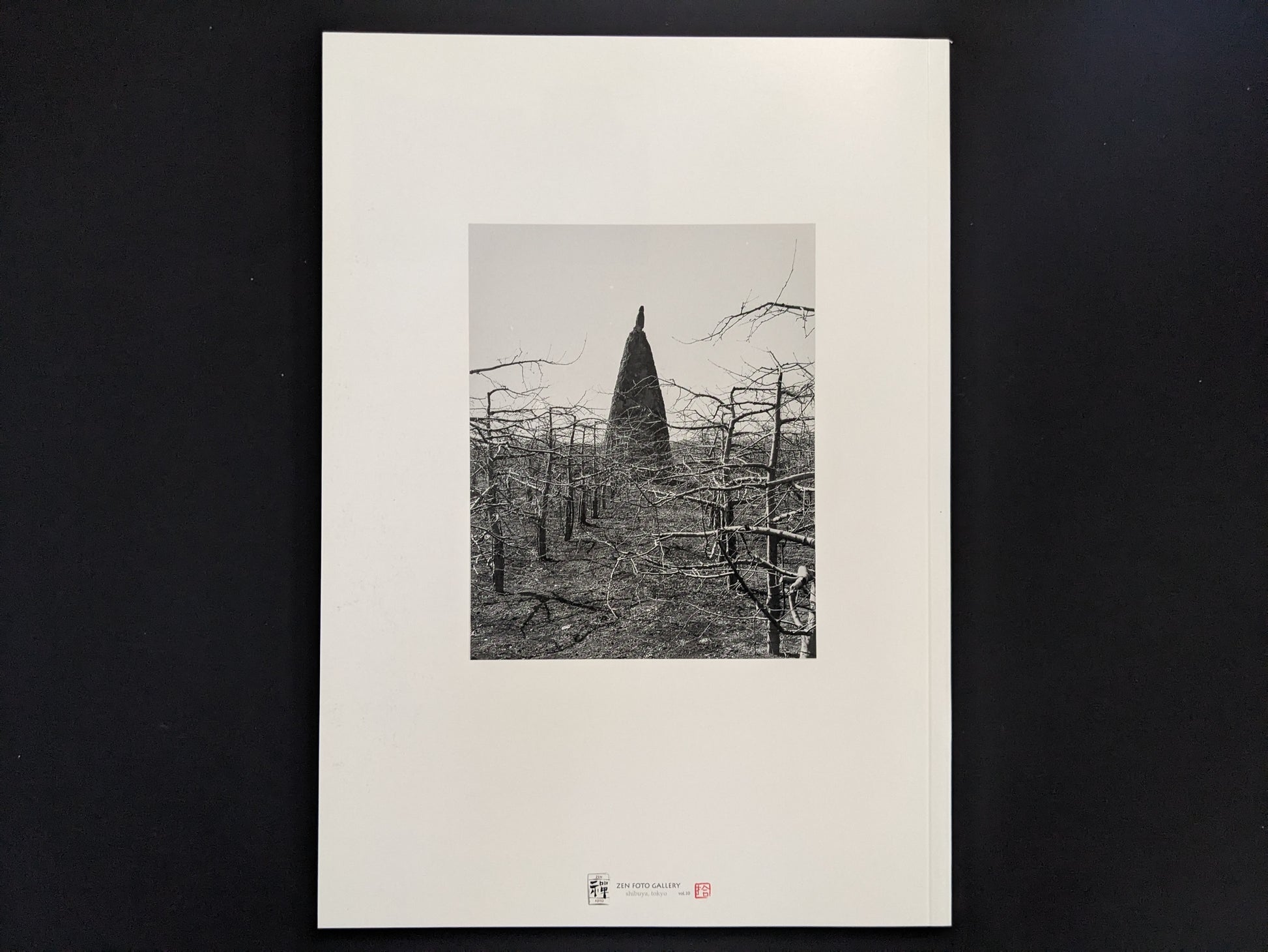 Back cover of The Ancient Towers photobook by Zhang Yu-Ming, published by Zen Foto Gallery, showing a Buddhist stone tower in a barren landscape.