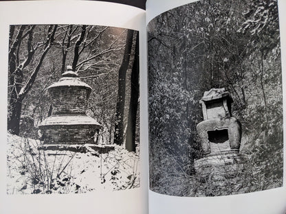 Black and white photographs of Buddhist stone towers surrounded by winter trees, from The Ancient Towers by Zhang Yu-Ming.