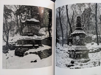 Buddhist pagodas photographed in winter landscapes, interior pages of The Ancient Towers.